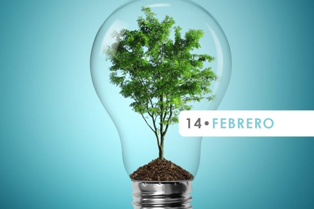 February 14: World Energy Day
